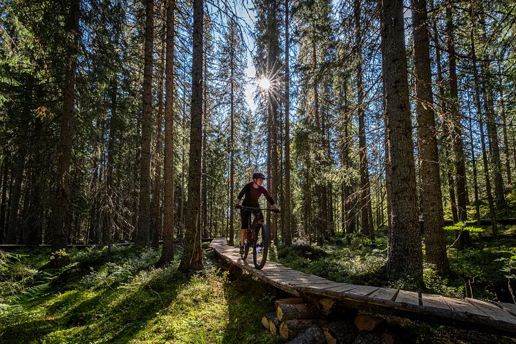 Trailcykling sommar