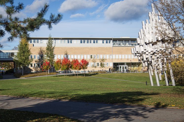 Höst Campus Umeå universitet