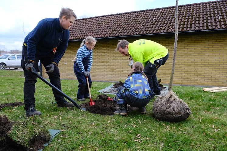 Ängelholmshem 1000 träd på 10 år