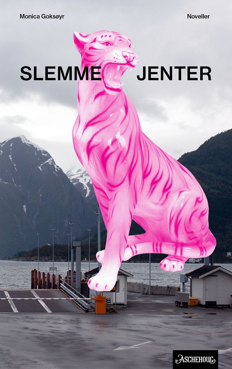 Goksøyr_Slemme jenter