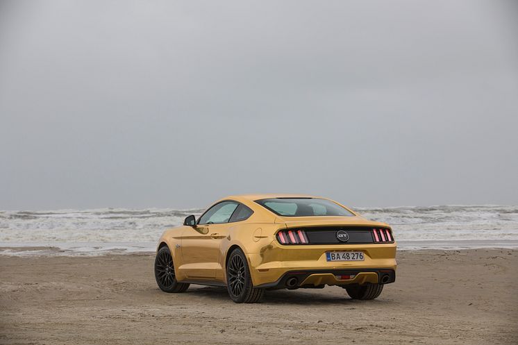 The Golden Mustang