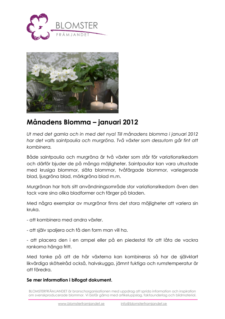 Månadens blomma - januari 2012