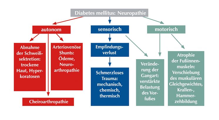 Die Entstehung eines Diabetischen Fußsyndroms