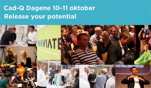 Cad-Q Dagene 2013 - Release Your Potential