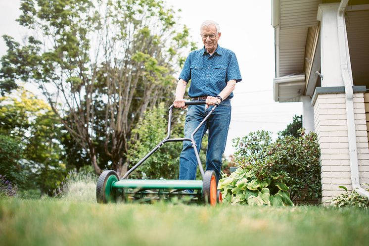 doc_Sommer im Garten_iStock-547429112