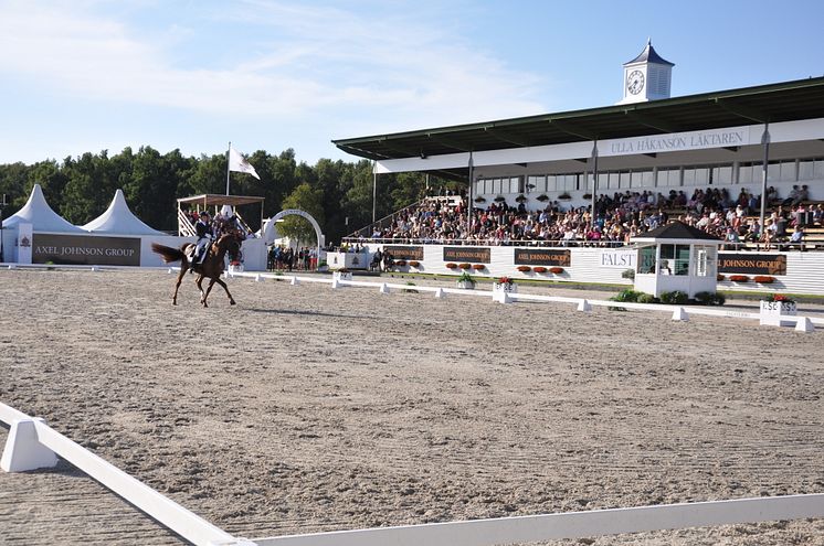 Internationella Dressyrarenan Falsterbo