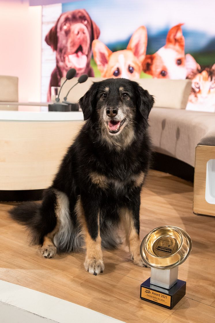 Fressnapf TEA 2021 Tierische Heldin Kimba und goldener Fressnapf