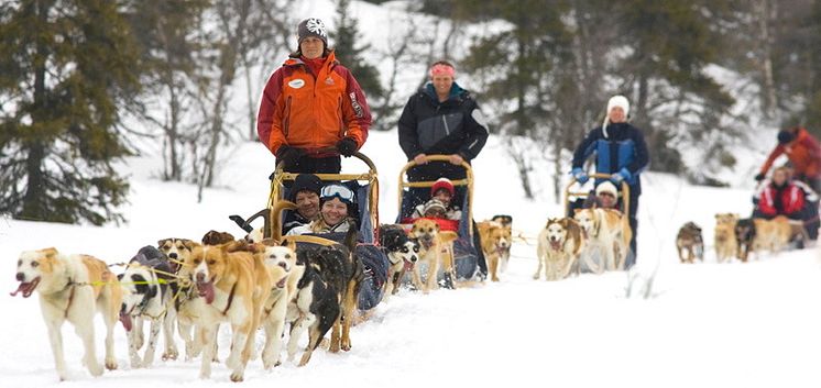 Hundspann på led