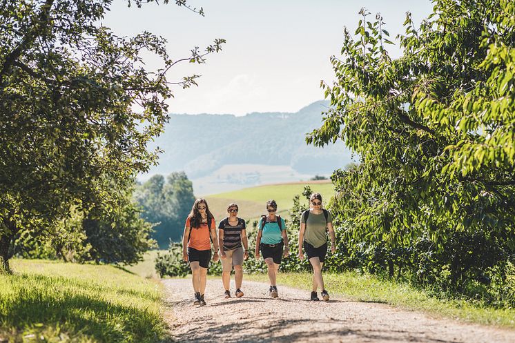 Unterwegs auf dem Fricktaler Hoehenweg © Schweiz Tourismus