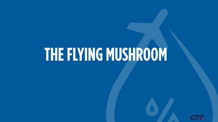 FLYING MUSHROOM_V2.pdf
