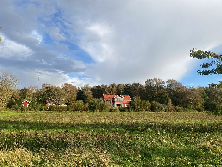 Eksjöhus_Modern-sekelskiftsdröm