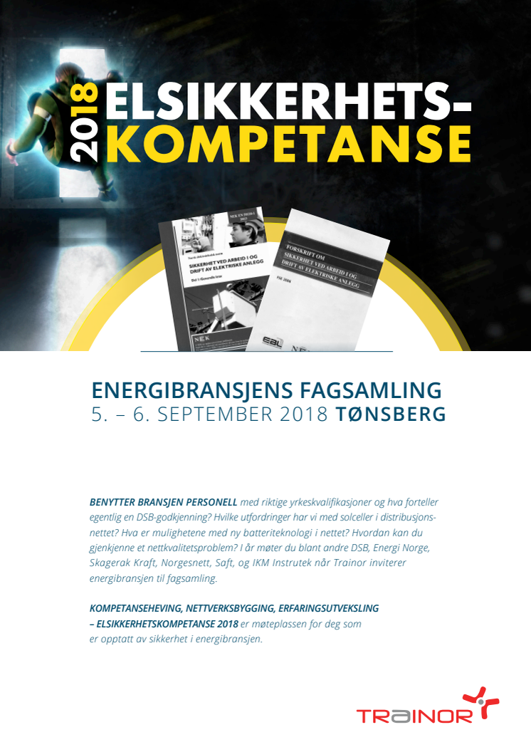 Elsikkerhetskompetanse 2018, program