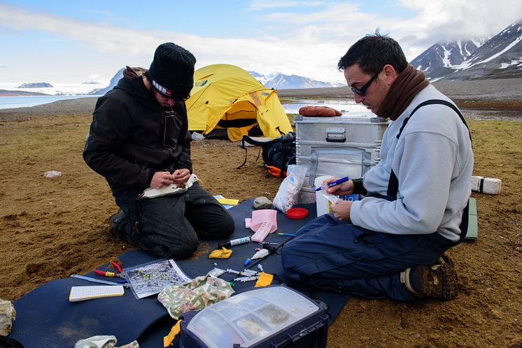 Fieldwork at Svalbard II