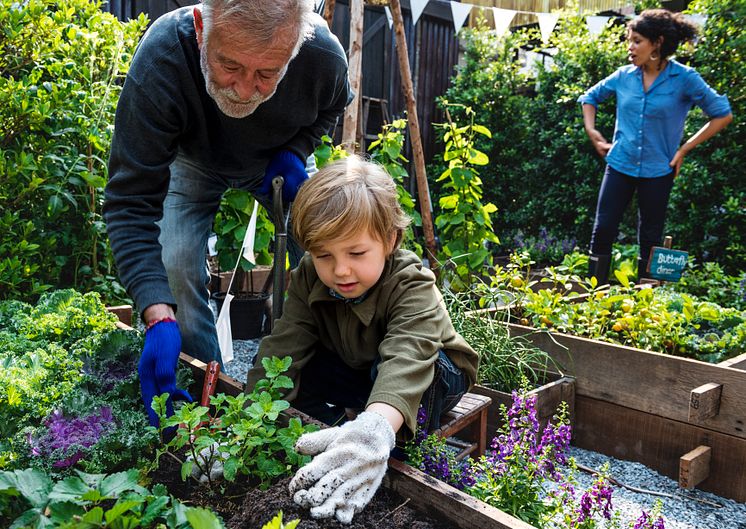 doc_Sommer im Garten_iStock-671270794