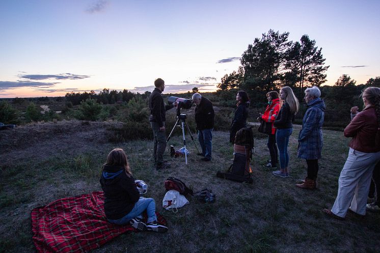 Sternenwanderung Kyritz-Ruppiner Heide