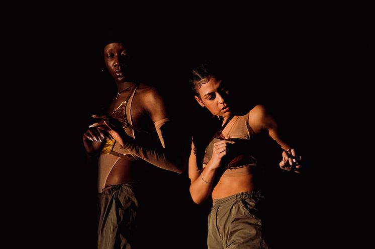 Company Nicolas Huchard - The barefoot diva
