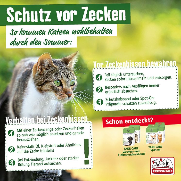 Infografik: Zeckenschutz bei der Katze