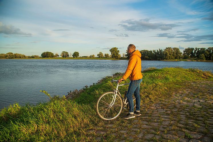 Radfahrer-an-der-Elbe_Steffen-Lehmann_TMB-Tourismus-Marketing-Brandenburg-GmbH