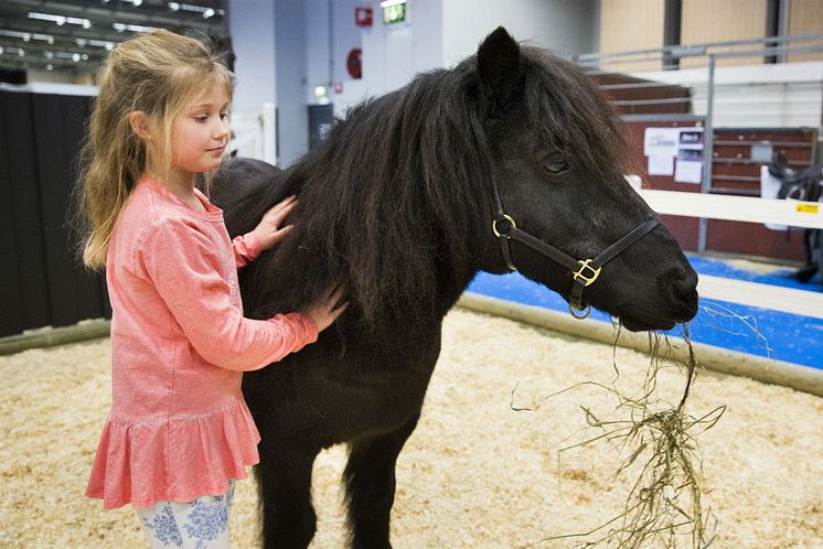 På EuroHorse finns allt för dem som älskar hästar. Foto: Anna Sigvardsson Högborg.