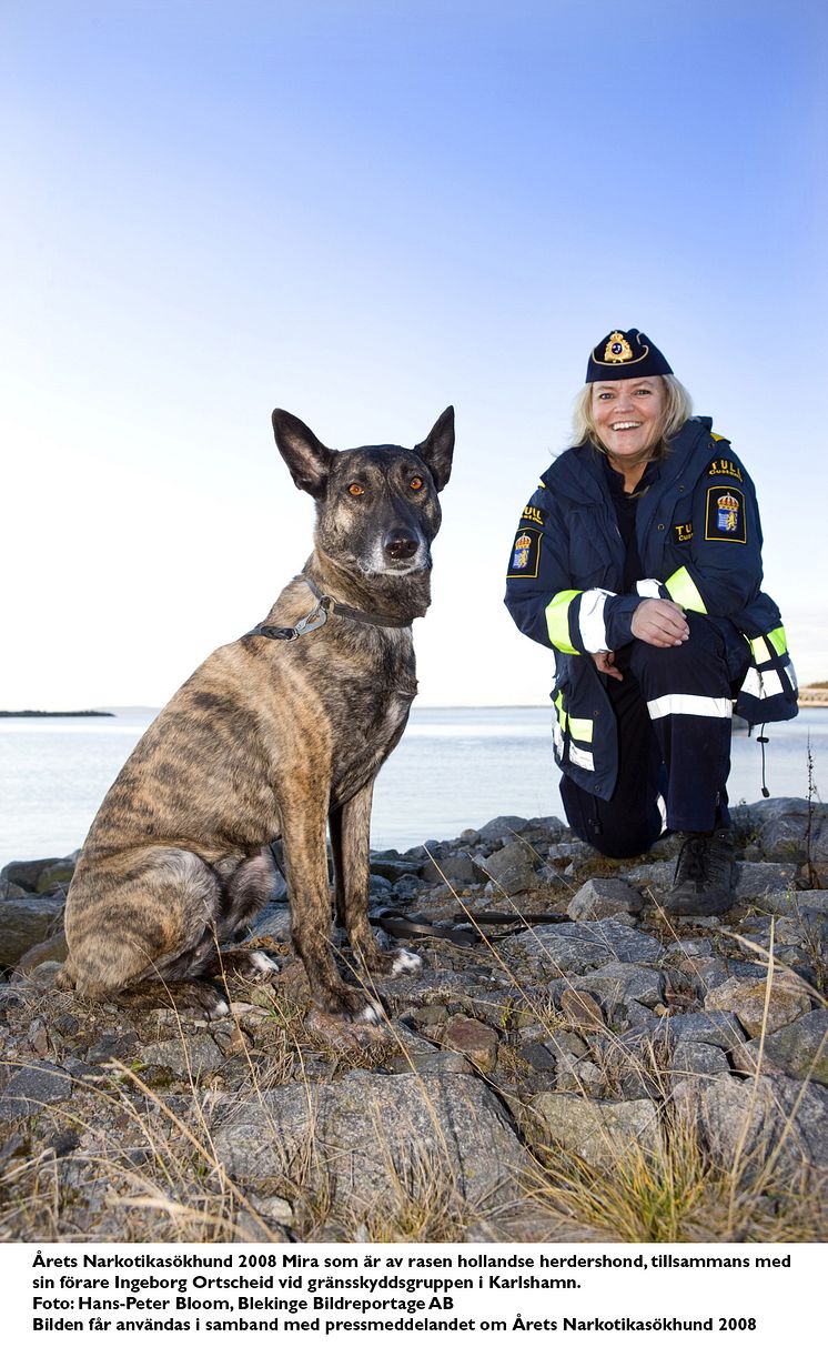 Årets Narkotikasökhund 2008