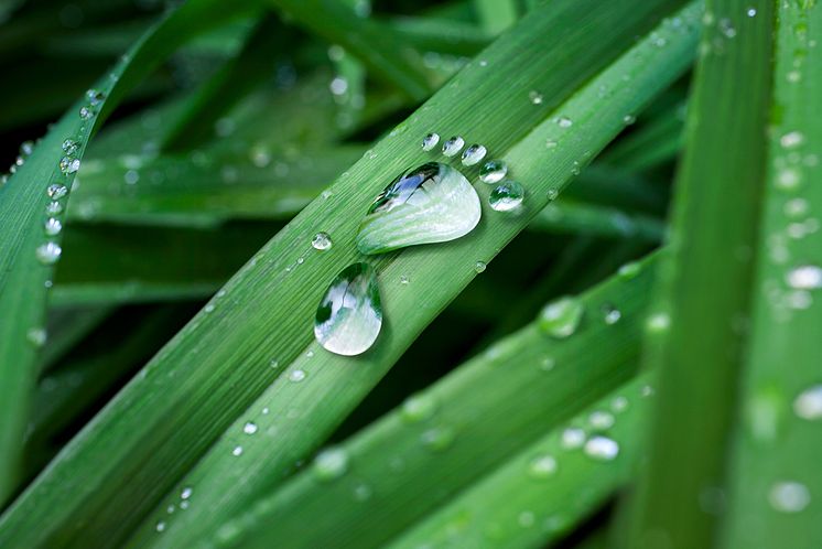Ruukki-sustainability-web.jpg
