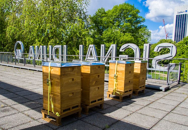 SIGNAL IDUNA setzt auf Bienen