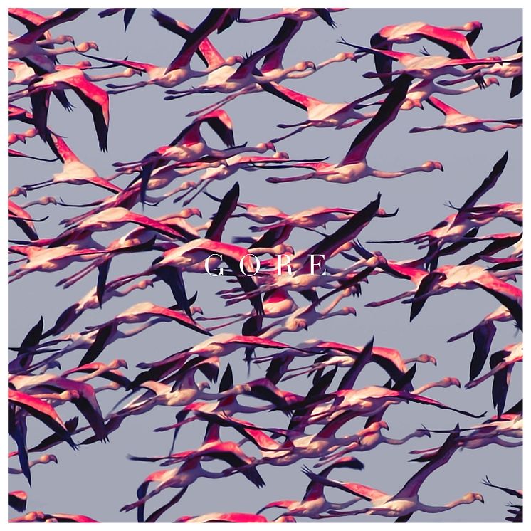 Deftones / Gore / Album Cover