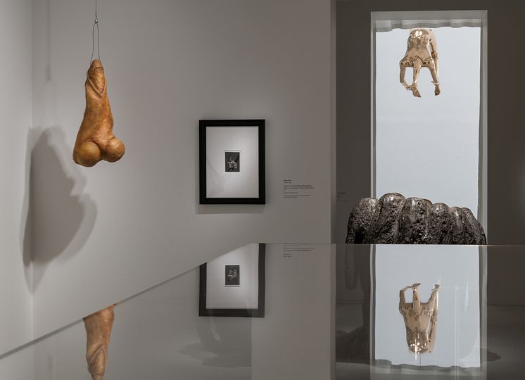 "Louise Bourgeois. Imaginary Conversations" installation photo.