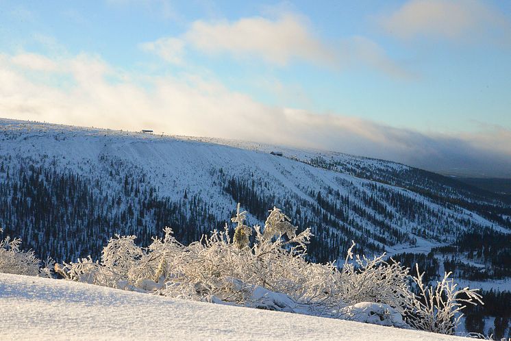 Snöfall Sälen