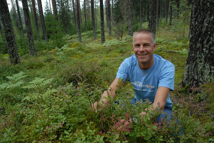 Bärprognosen: försöksledare Ola Langvall