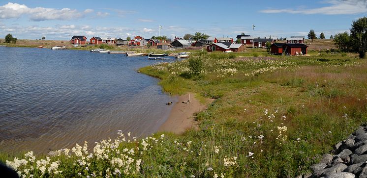 Panorama Stor Ebben-göran wallin.JPG
