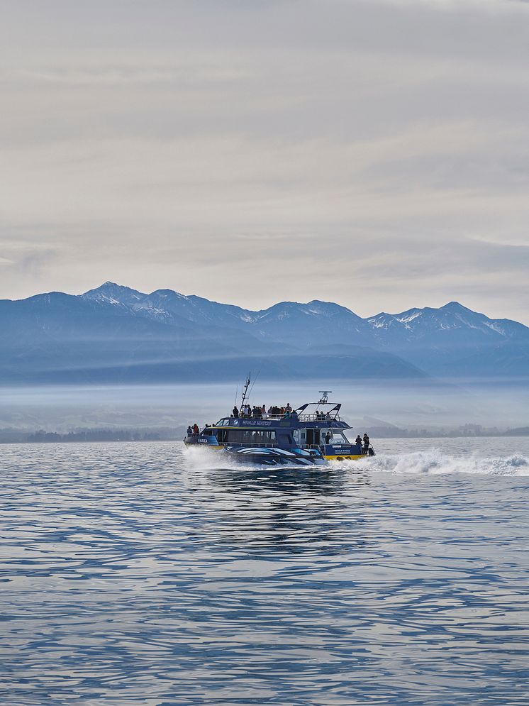 Walbeobachtungsboot mit Scania Motor und 750 PS