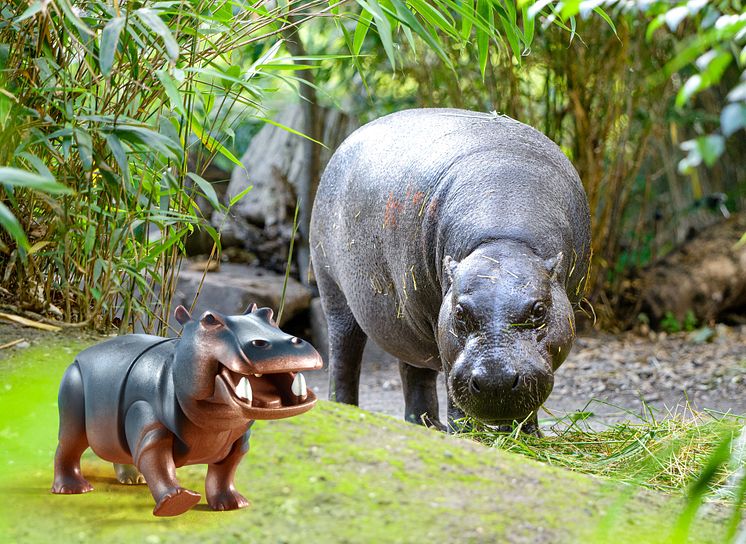 PLAYMOBIL und der Zoo Duisburg laden zum großen Zoo-Quiz ein