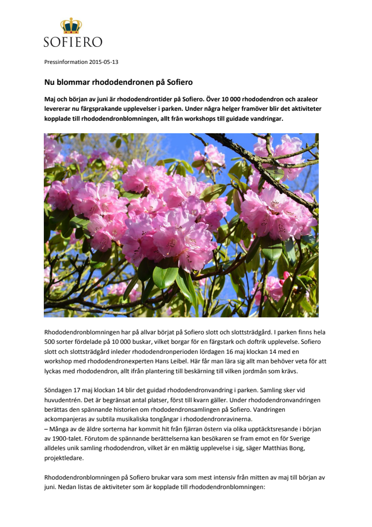 Nu blommar rhododendronen på Sofiero 