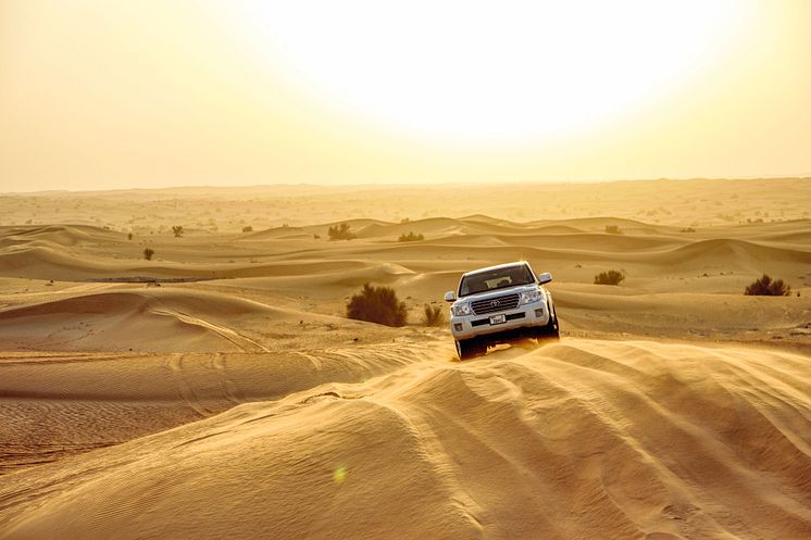 Dubai Desert Safari