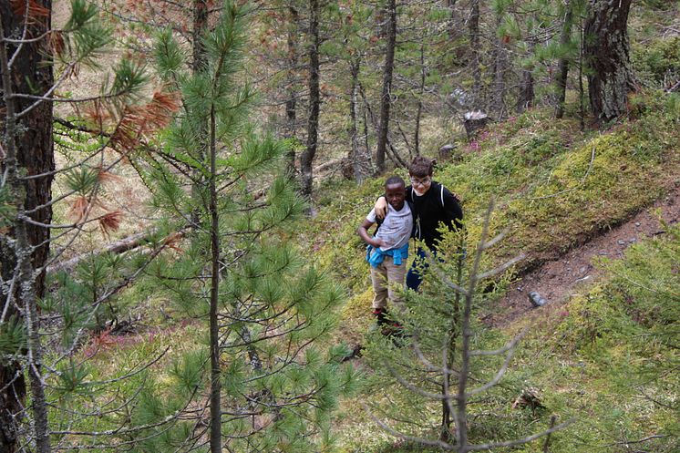 Bergfreizeit in Sulden