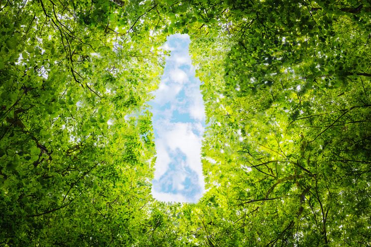 Suomesta ensimmäinen maa, jossa Coca-Cola valmistetaan hiilineutraalisti