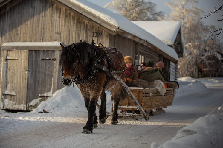 FryksasChalet_HorseSleighRide_photoJuliusAspman_VisitDalaarna