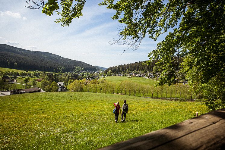 Wandern auf dem Kammweg Erzgebirge Vogtland_Foto TVE_Rene Gaens