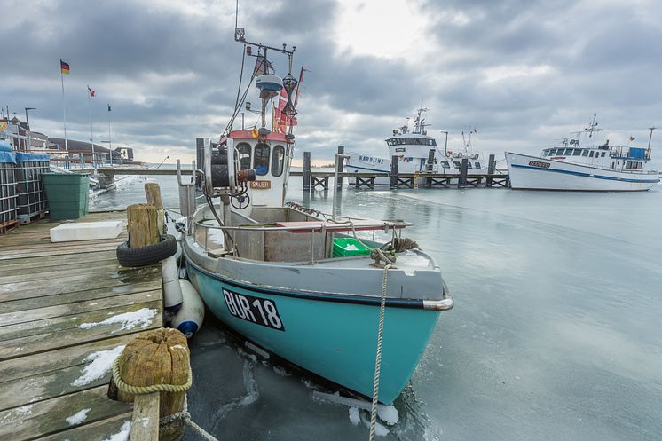 Fischkutter in Burgstaaken im Winter