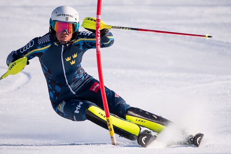 Anna Swenn Larsson, Ski Team Sweden Alpine