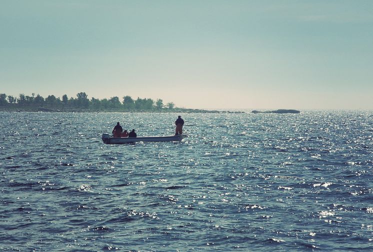 Laxfiskepremiär i Bottenviken