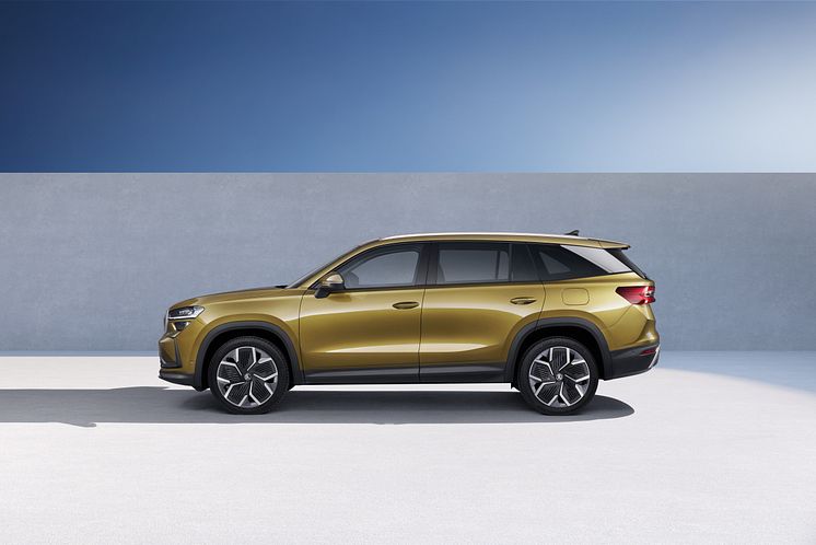 Ny Kodiaq 2024