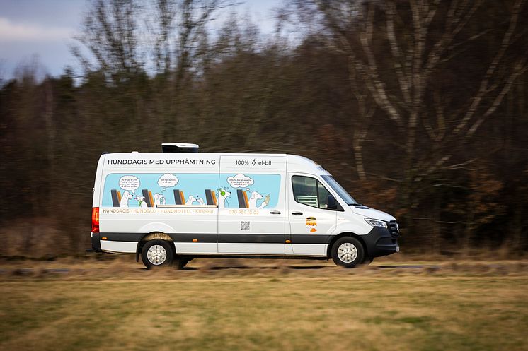 eSprinter Hundtaxi