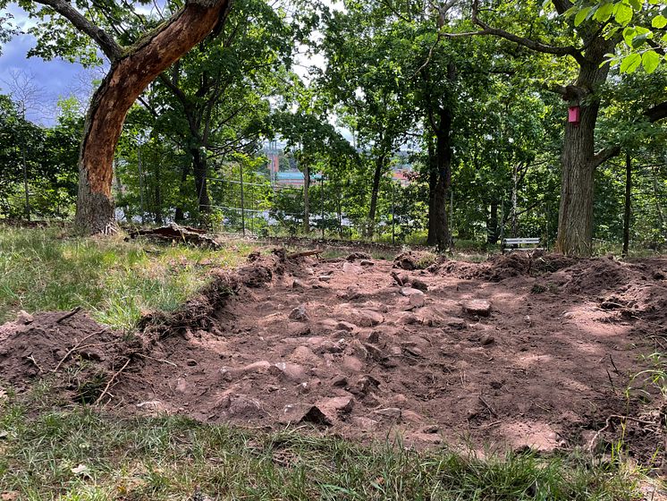 Vikingagrav i Burgårdsparken