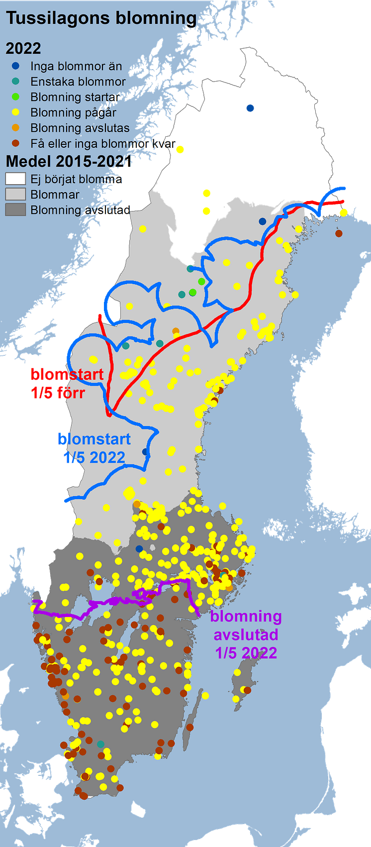 tussilago2022