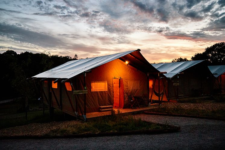 Wild Lodge by night