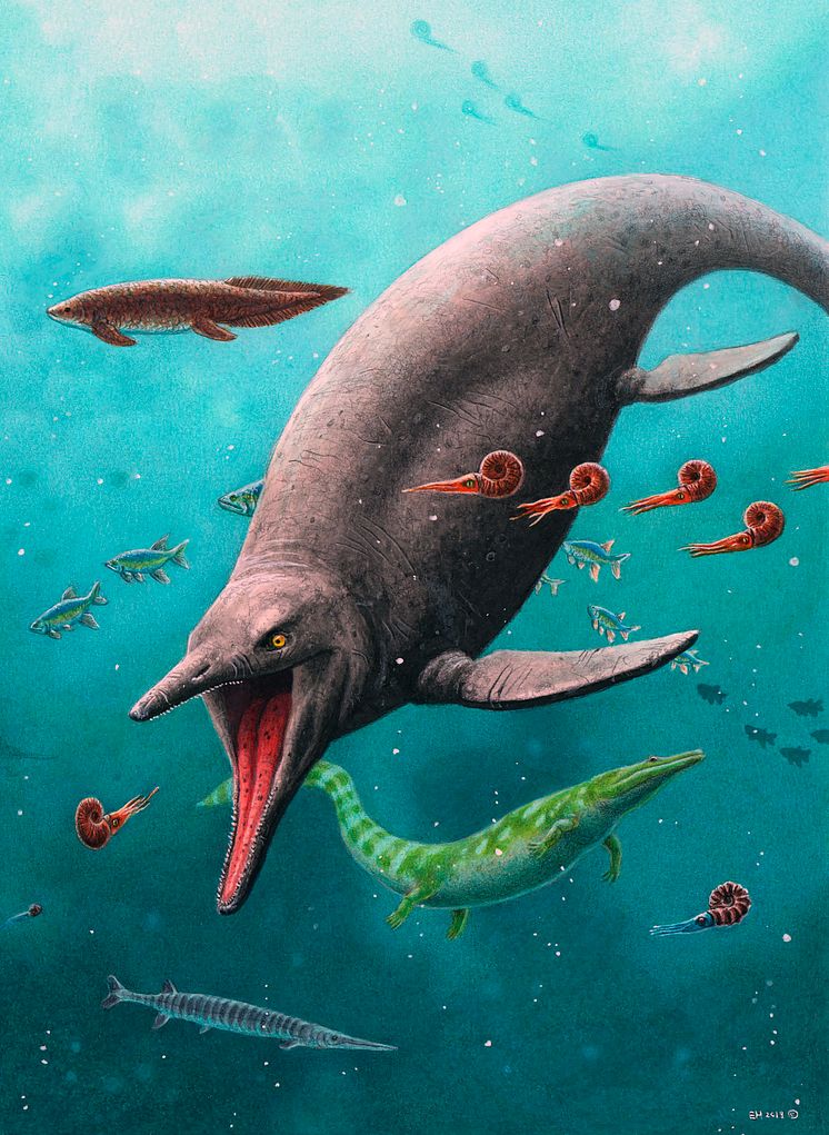 Reconstruction of earliest ichthyosaur 