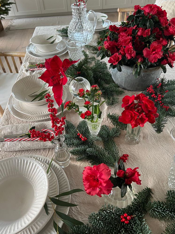 Julblommor_2024_klassiska