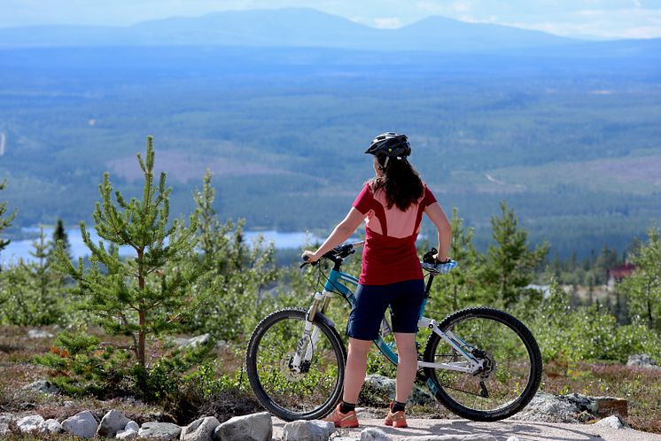 Stigcykling i Lofsdalen i Lofsdalen Fjällpark MTB